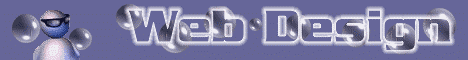 Web Design neon banner