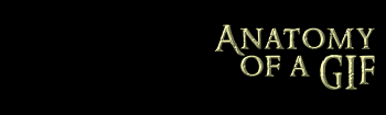 Anatomy of a GIF
