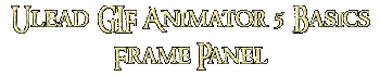 Ulead GIF Animator 5 Basics Frame Panel
